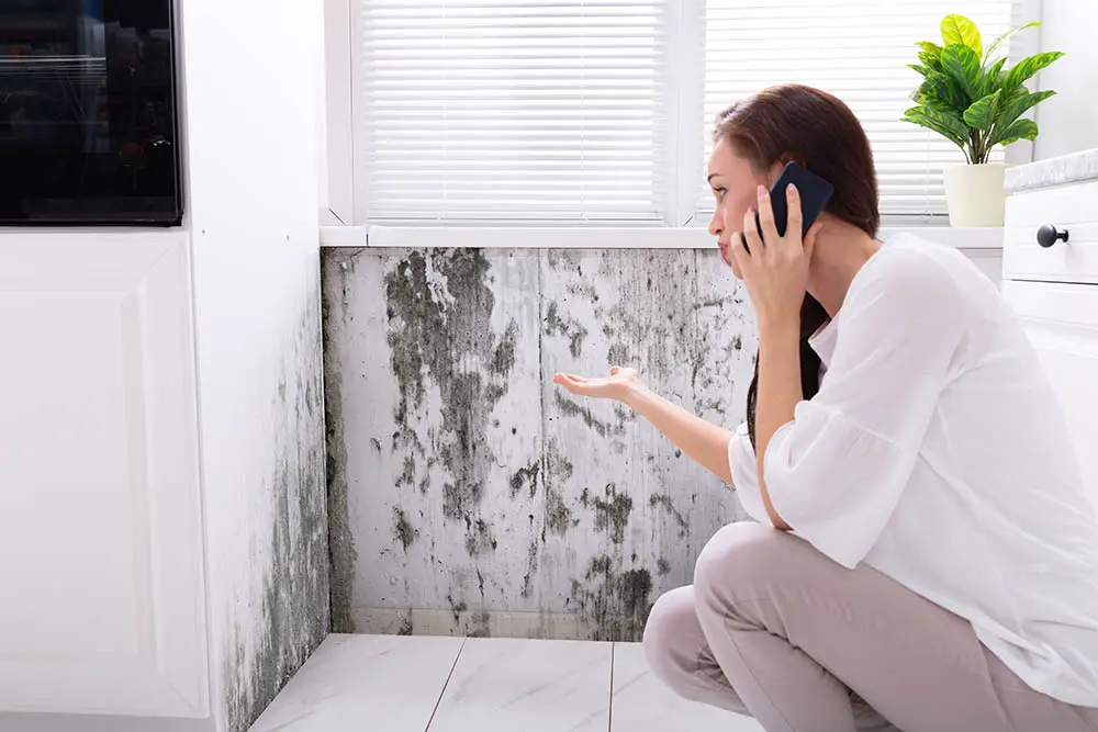 Can You Refuse to Pay Rent If You Have Mold