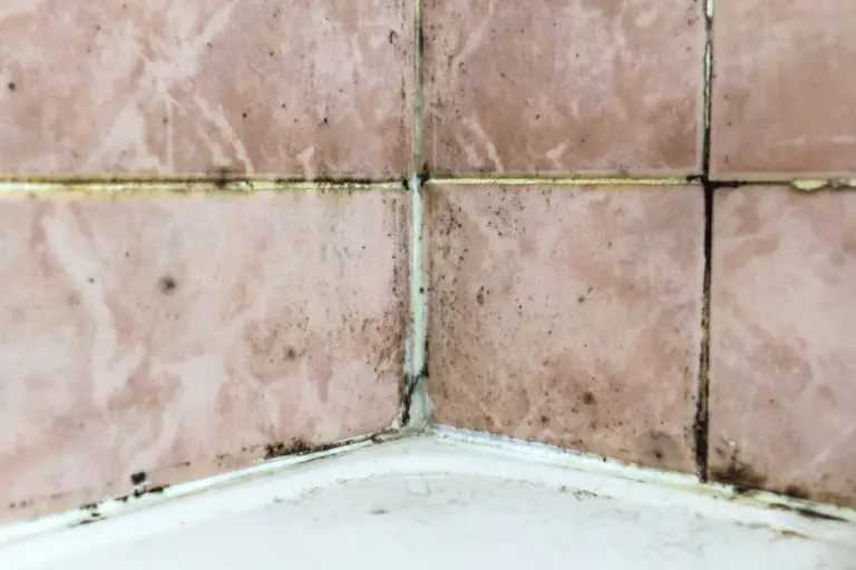 how-do-you-get-black-mold-out-of-shower-home-tour-series