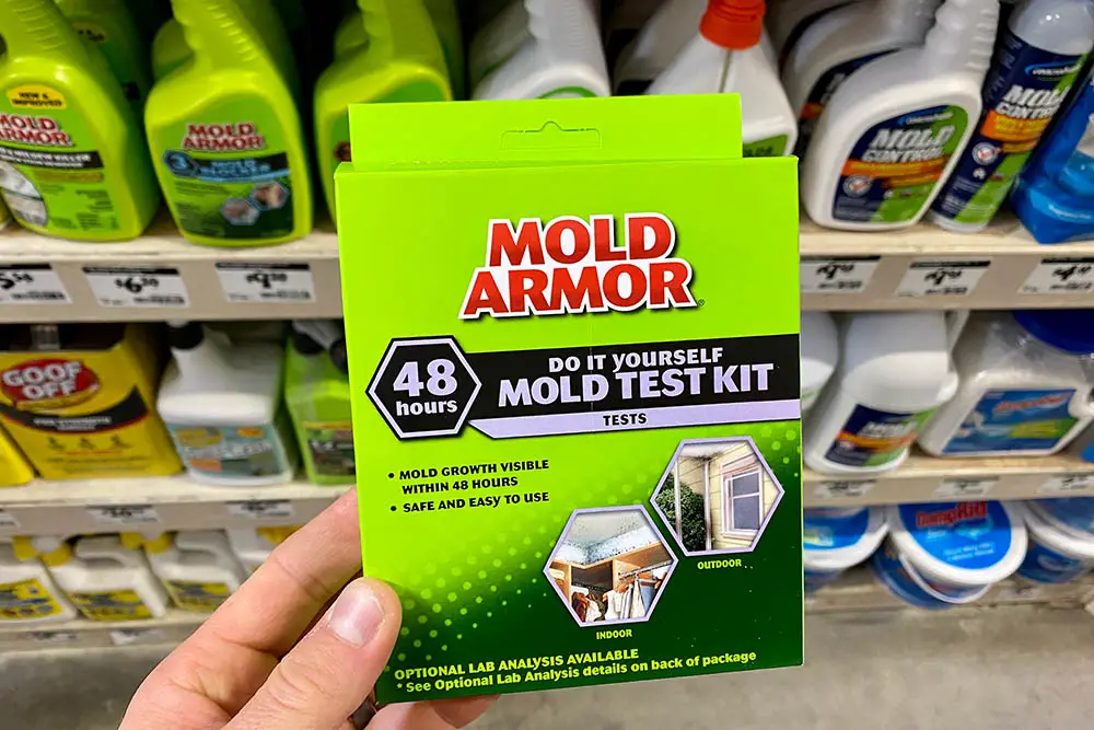 How Can I Test My Home For Mold