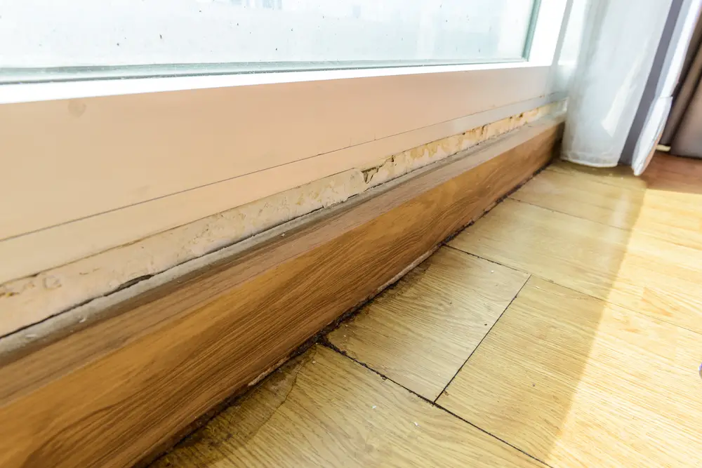 Is Mold Under Flooring Dangerous, Mold Under Wood Laminate Flooring