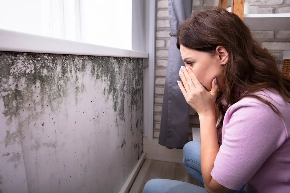 Is Mold a Dealbreaker When Buying a House?