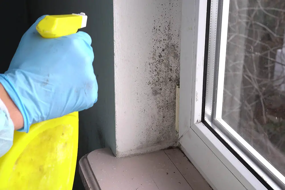 Is Mold Remediation Tax-Deductible?