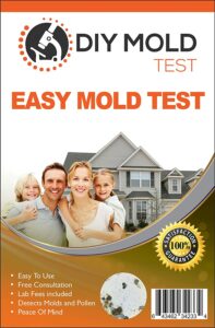 easy mold test kit hometourseries