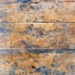 Mold on Your Floor and How to Deal With It