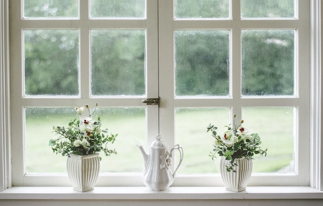 mold growth in home windows
